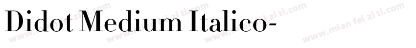 Didot Medium Italic0字体转换